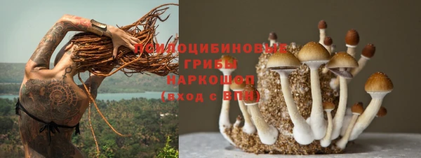 мет Каменск-Шахтинский