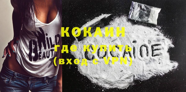 spice Каменка