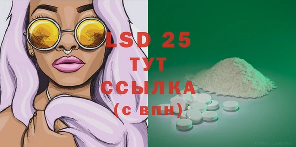 spice Каменка