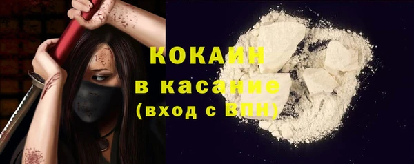 spice Каменка