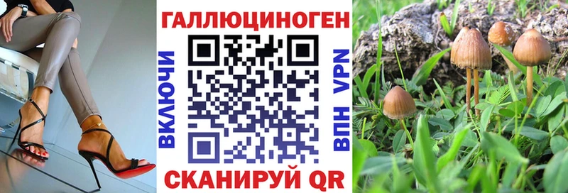 Галлюциногенные грибы Psilocybine cubensis  Купить закладки  Железногорск-Илимский 